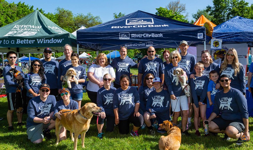Team River City Bank at the 2019 Doggy Dash