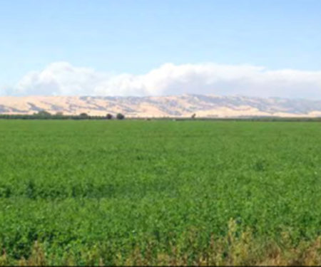 Agricultural Land, Yolo County