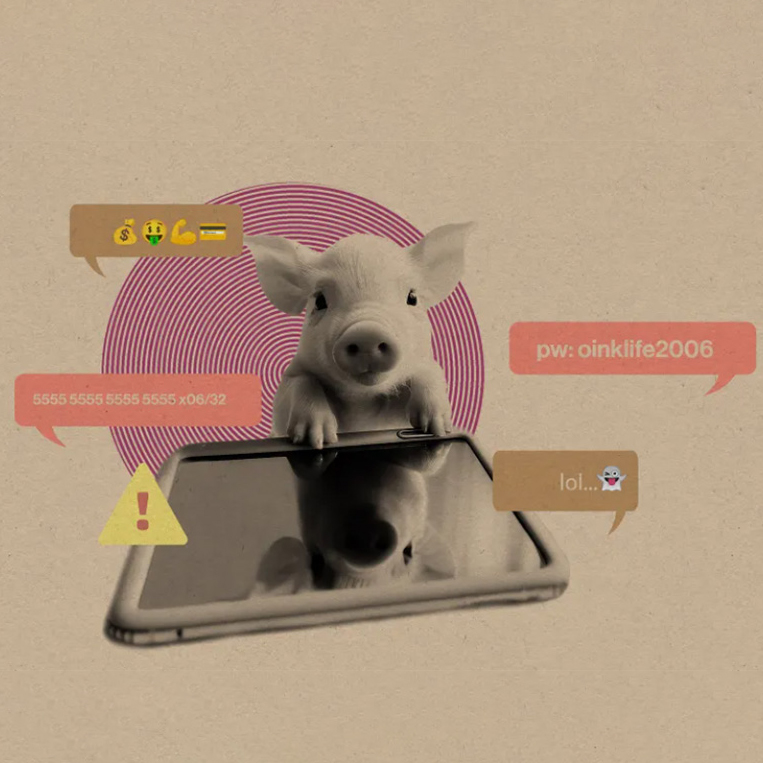 Image of a pig standing near a cell phone